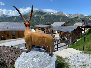 Chalet Hohentauern Außenaufnahme 8