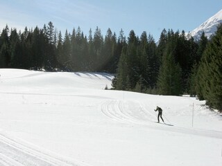 Chalet Hohentauern Entorno 25