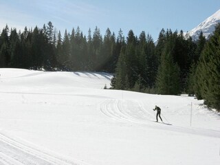 Chalet Hohentauern Environnement 30