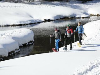 Chalet Hohentauern Environnement 18