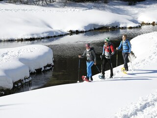 Chalet Hohentauern Ambiente 23