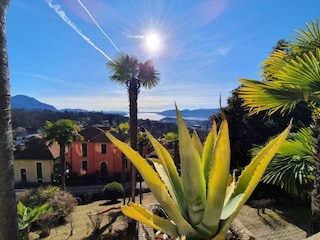 Apartment Vignone Außenaufnahme 5