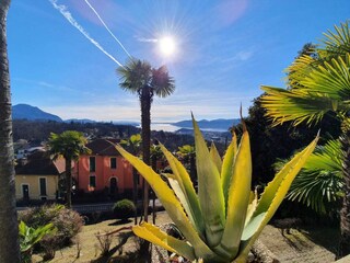 Apartment Vignone Outdoor Recording 9