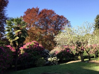 Appartement Vignone Omgeving 27