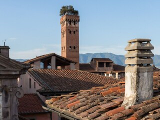 Appartement Lucca  5
