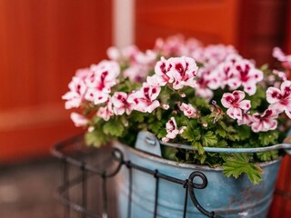 Casa per le vacanze Arnis Registrazione all'aperto 7