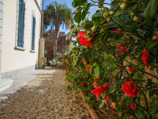 Appartement Lucca  55