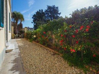 Appartement Lucca  50
