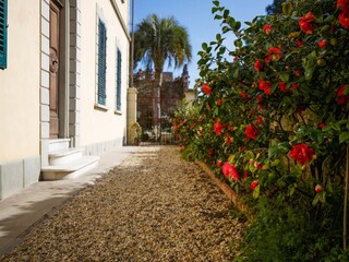 Appartamento Lucca  61