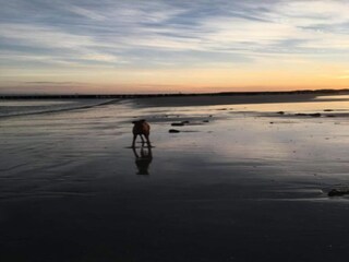 Vakantiehuis Breskens Omgeving 30