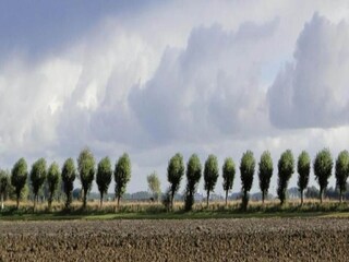 Casa de vacaciones Breskens Entorno 29