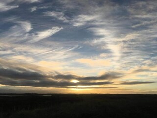 Maison de vacances Breskens Environnement 35