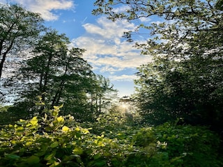 Vakantiepark Munnekeburen Buitenaudio-opname 7