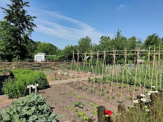 Ferienpark Munnekeburen Außenaufnahme 7