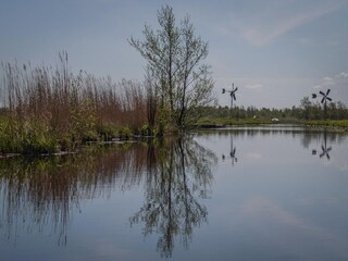 Parc de vacances Munnekeburen Environnement 33