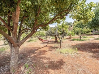 Ferienhaus Silves Außenaufnahme 6