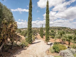 Ferienhaus Silves Außenaufnahme 7