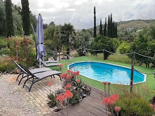 Ferienhaus Silves Außenaufnahme 19