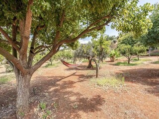 Ferienhaus Silves Außenaufnahme 13