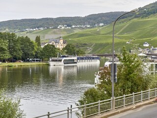 Blick von der Terrasse auf die Mosel