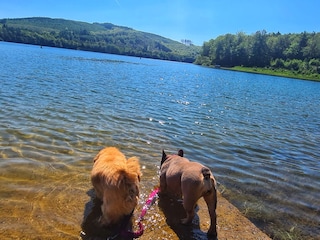 Planschen und erfrischen im Hennesee