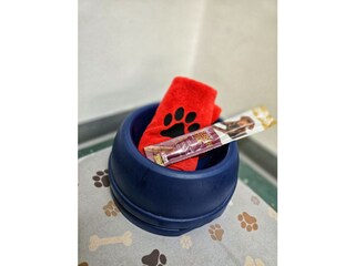 Ein Leckerli gehört zum Willkommen heißen dazu