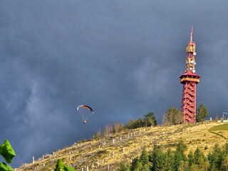 Stüppelturm (Aussichtsturm)