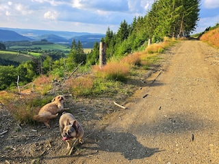 Wau!???? Was für ein Blick!