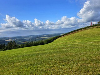 Weite Wiesen mit Ausblick