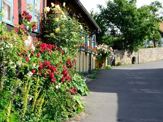 Holiday park Allinge  21