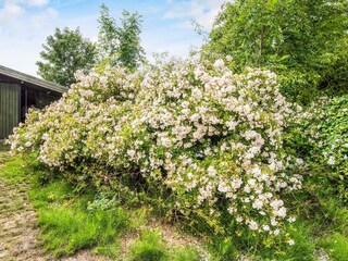 Ferienhaus Juelsminde  5