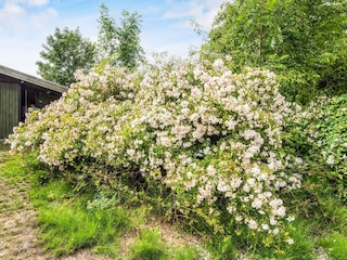Vakantiehuis Juelsminde  8