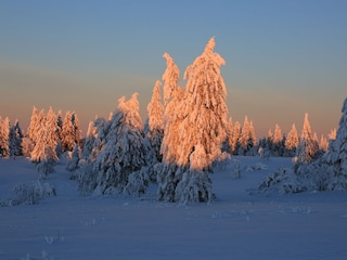 Winter auf dem Kahlen Asten (20 min mit dem Auto)
