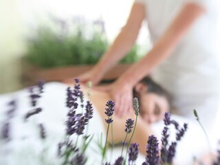 Vakantiepark Havneby  34