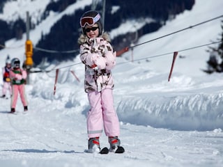 Maison de vacances Grundlsee  36