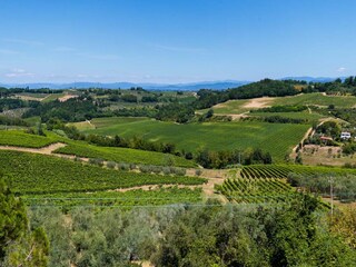 Villa Tavarnelle Val di Pesa Ambiente 60