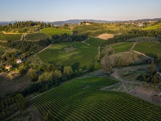 Villa Tavarnelle Val di Pesa Environnement 61