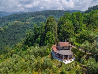 Villa Massa e Cozzile  55