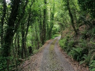 Villa Massa e Cozzile  42