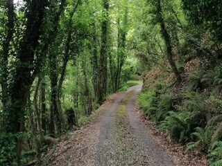 Villa Massa e Cozzile  52