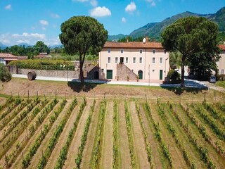 Villa Marlia  3