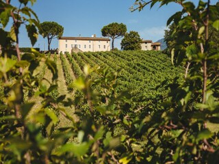Villa Marlia  11