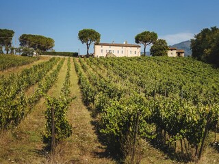 Villa Marlia  57