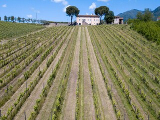 Villa Marlia  32