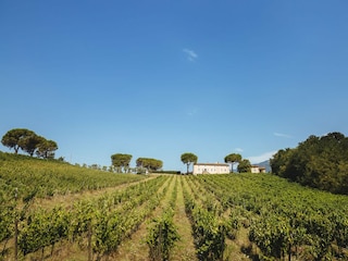 Villa Marlia  36