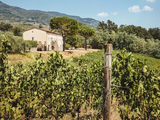 Villa Marlia  47