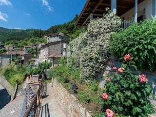 Cottage Buti  31