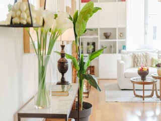 Appartement Lucca  12