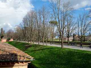 Apartment Lucca  53
