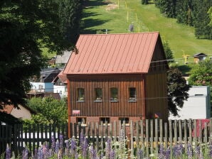 Ferienhaus Berghütte Javorka - Pernink - image1